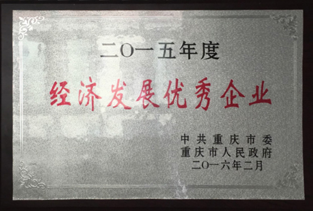 2015年度經濟發展優秀企業